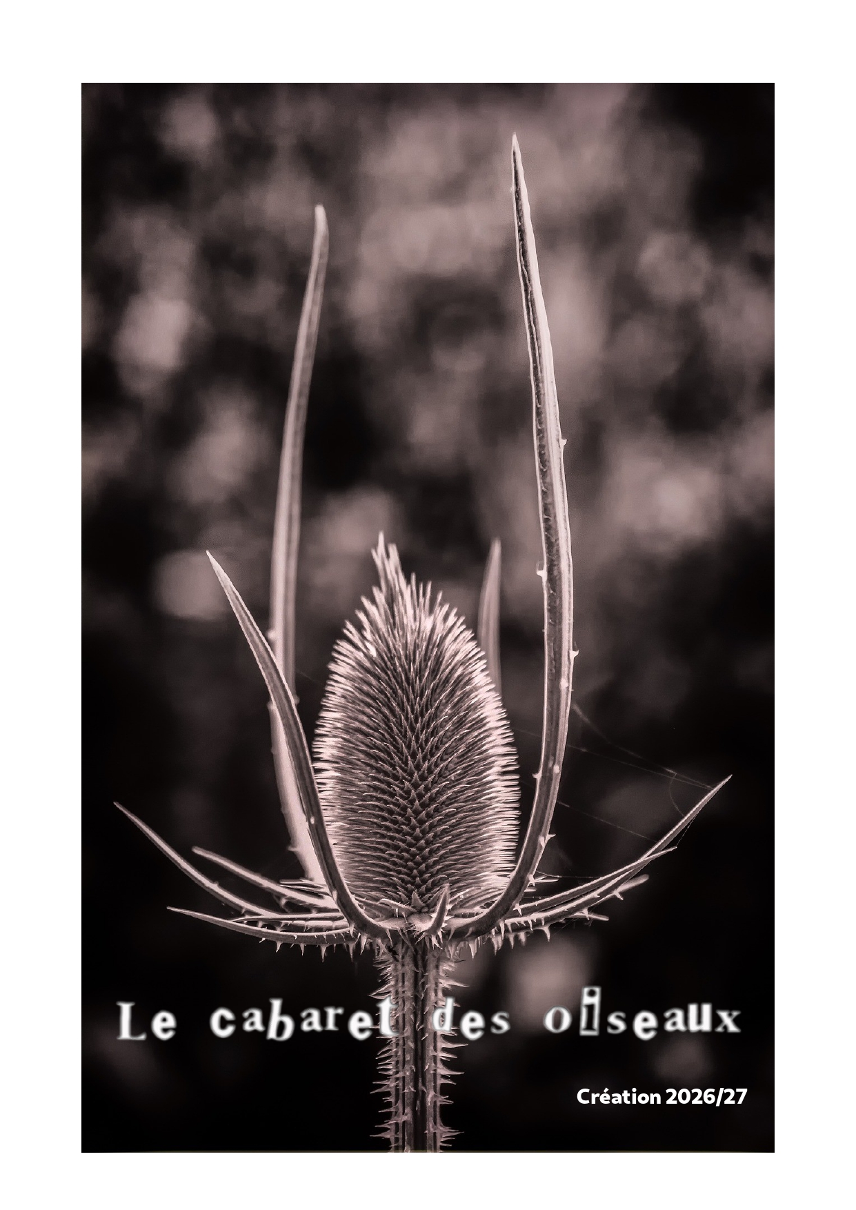 SPECTACLE – Le cabaret des oiseaux