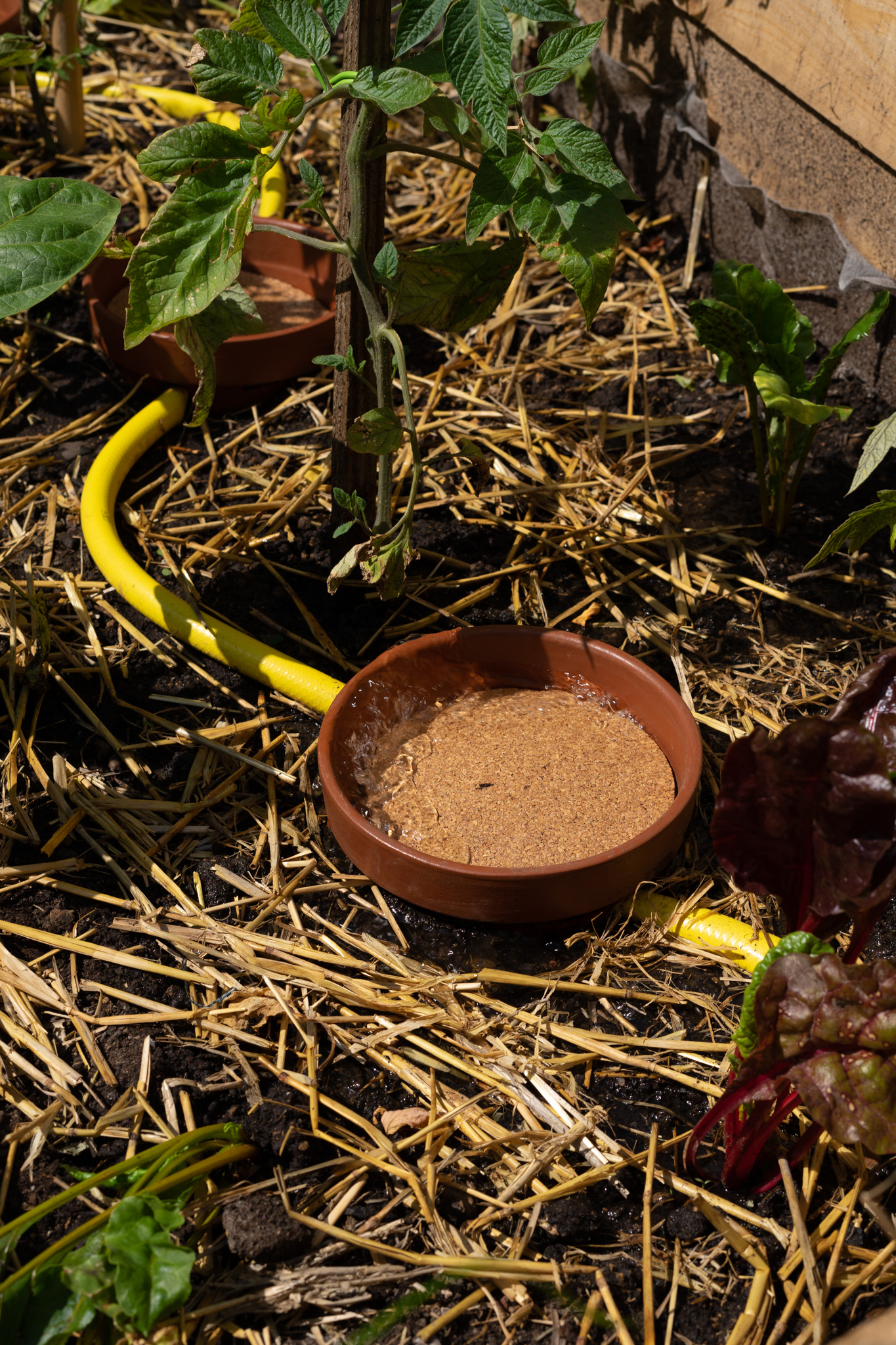 ATELIER – Fabrication d’un système d’irrigation par oyas