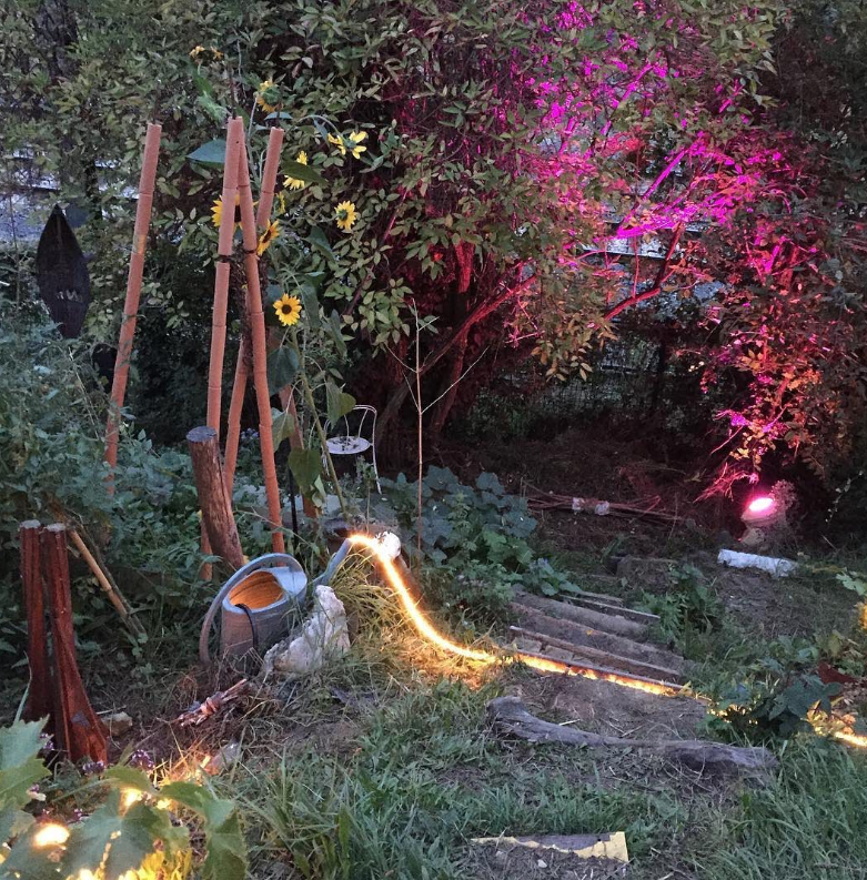 Fête des jardins